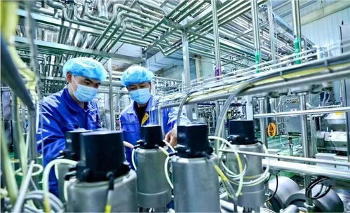 蘭州新區國慶假期生產不打烊，全力趕制訂單保障西安網絡需求