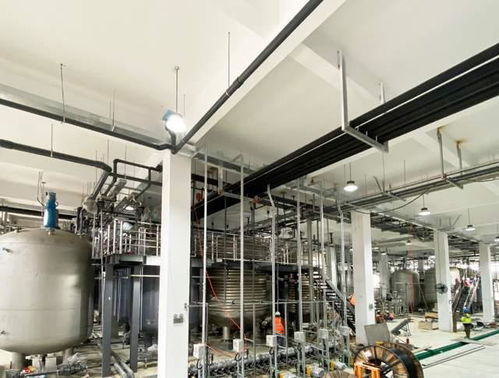 科學家發現衰老逆轉關鍵分子，富人圈爭相追捧，市場規模或達300億